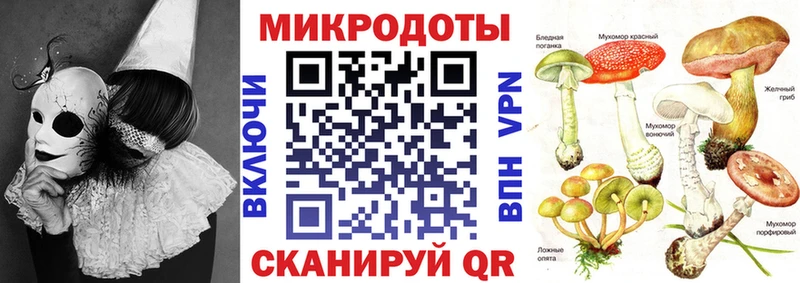 Псилоцибиновые грибы GOLDEN TEACHER  Рославль 